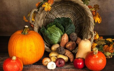 Autunno che passione: un viaggio tra feste della zucca, castagnate e… cultura