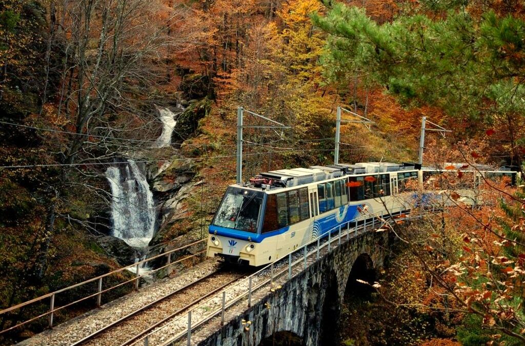 Il “Foliage” a due passi da casa