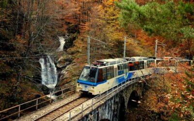 Il “Foliage” a due passi da casa